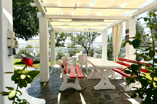 Pergola and Dining Table